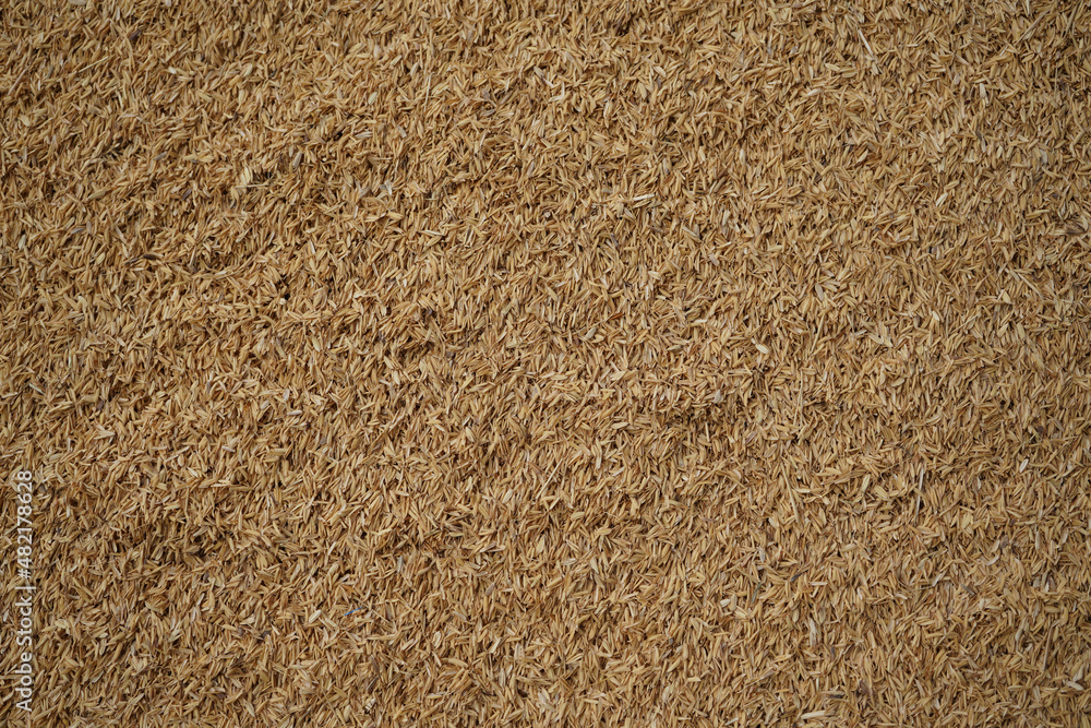 Piles of rice seed husks so that they form a very beautiful brown background. Piles of rice seed husks so that they form a very beautiful brown background.