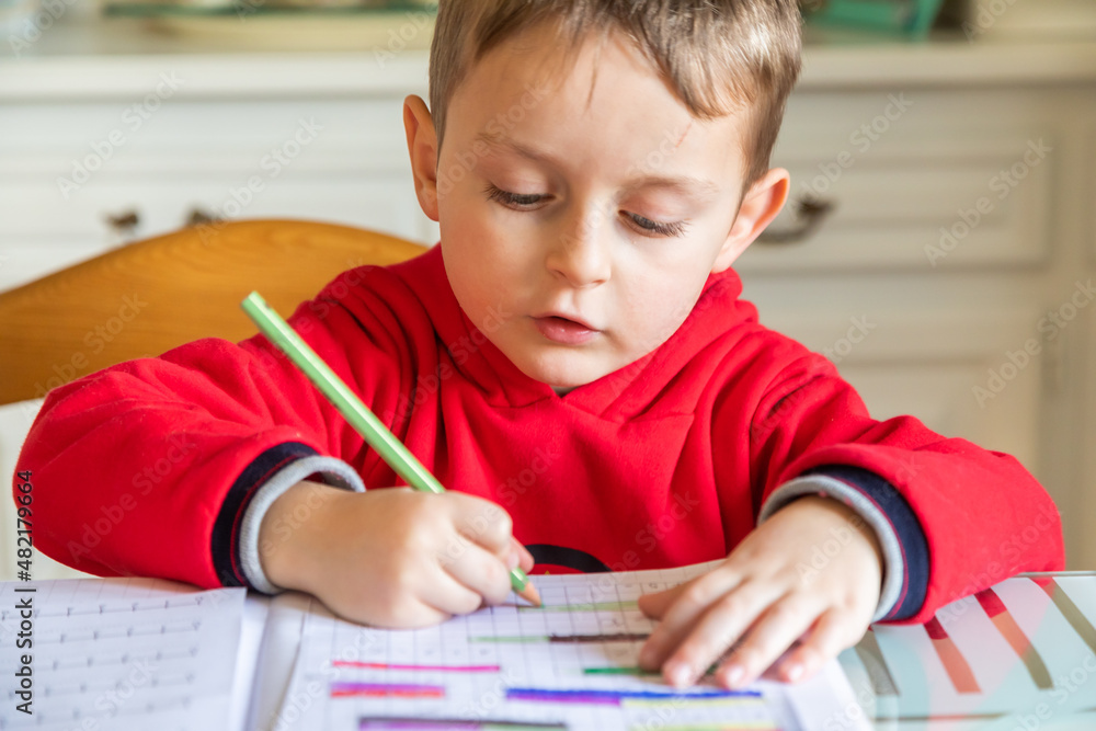 6 Years Old Boy Learning At Home Elemantary Age Caucasian Child Stock 6-years-old-boy-learning-at-home-elemantary-age-caucasian-child-stock