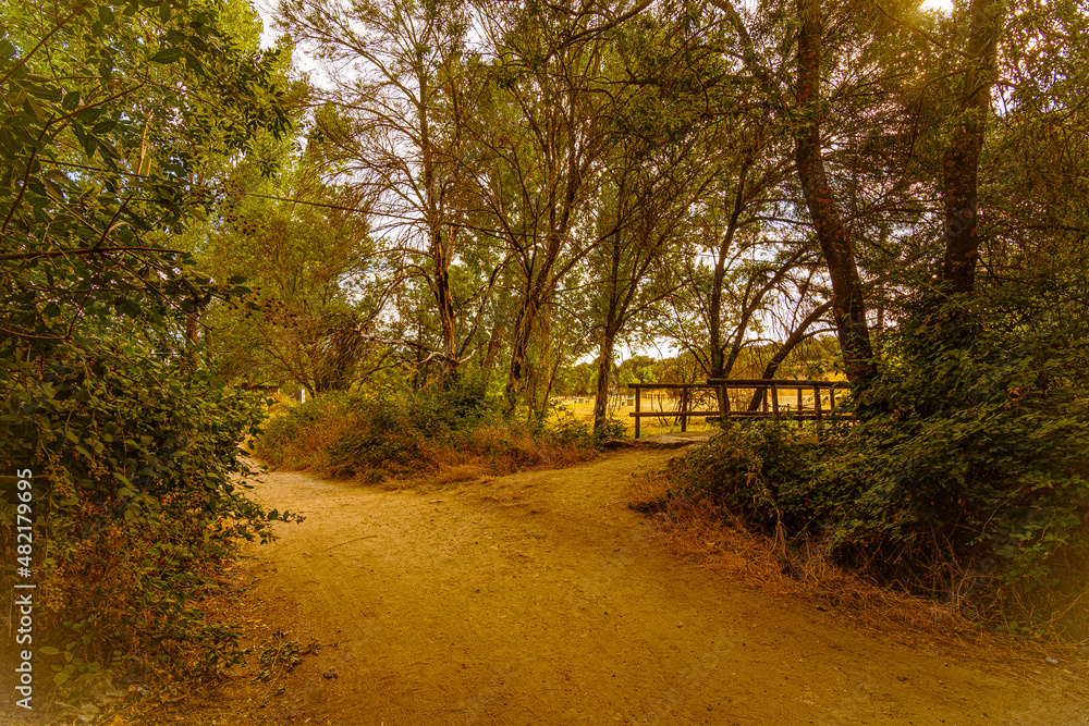 Naklejka premium rural road with wooden bridge in guadarrama sierra. Cerceda Madrid Spain.