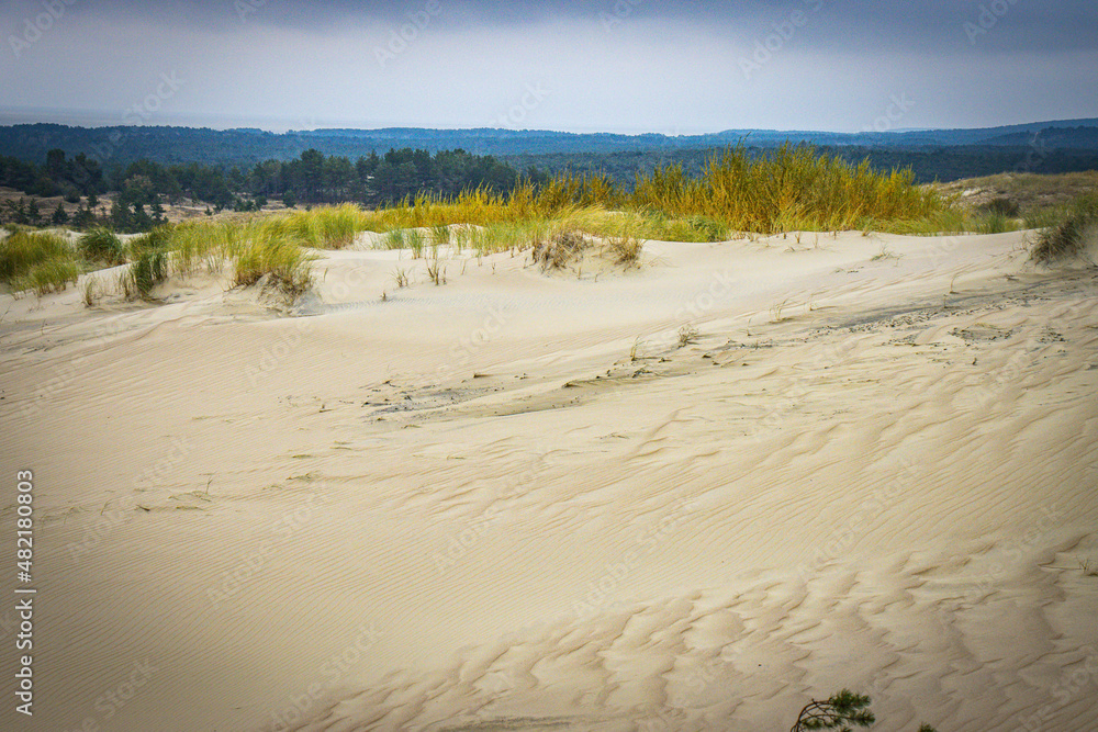 sand dunes on curonian spit, lithuania, nida, baltic countries, baltics, europe sand dunes on curonian spit, lithuania, nida, baltic countries, baltics, europe
