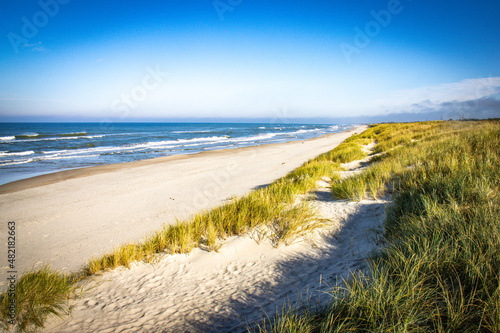 beach near nida  curonian spit  lithuania  nida  baltic countries  baltics  europe