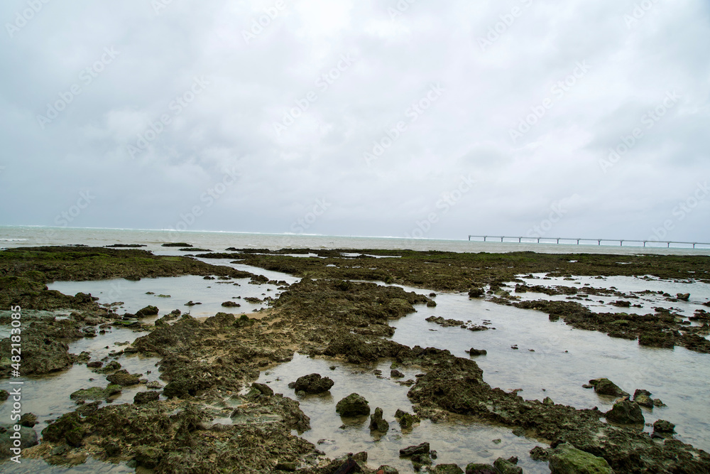 Landscape of rocky shore on bad wether.