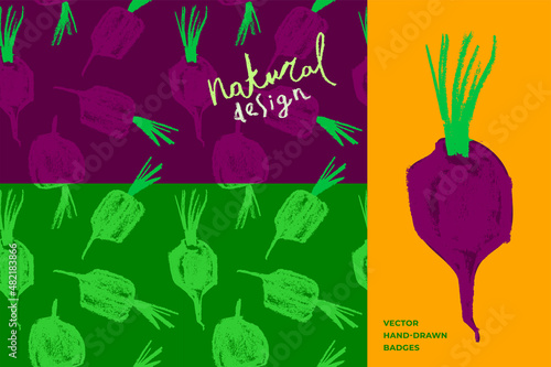 Vector beetroot pattern seamless. Sugar beet background for label, banner, packaging design. Fabric vegan ornament. Vegetarian background. Pencil Illustration. Vegan wallpaper. Purple root vegetable.