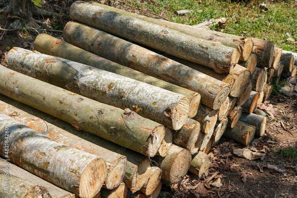 Piles of wood from logging forests to be used as raw materials for furniture. Piles of round and square wood form patterns and textures. Piles of wood from logging forests to be used as raw materials for furniture. Piles of round and square wood form patterns and textures.