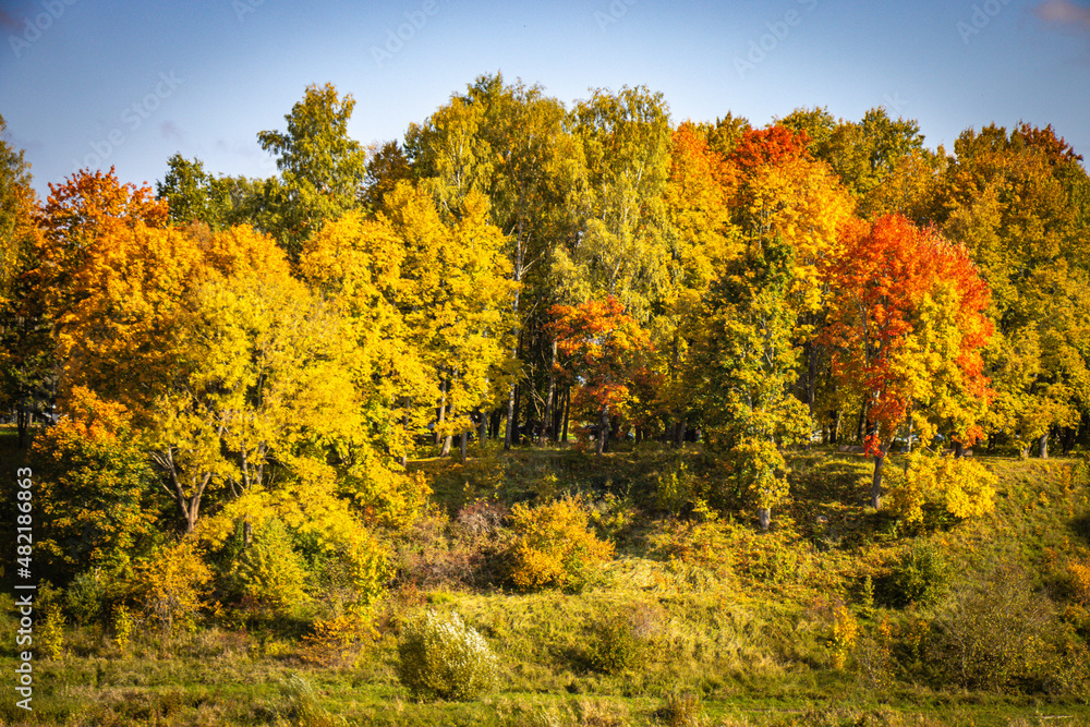 Fototapeta premium autumn forest in Kuldiga, Latvia, autumn, Baltics, Baltic countries, Baltics, Europe