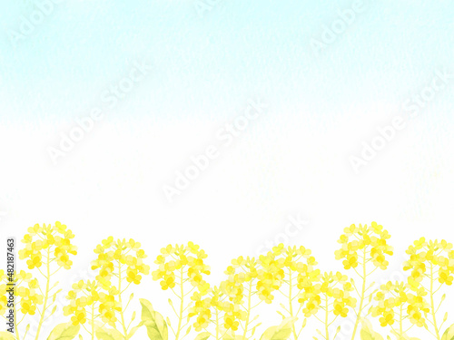 菜の花畑と青空のフレーム