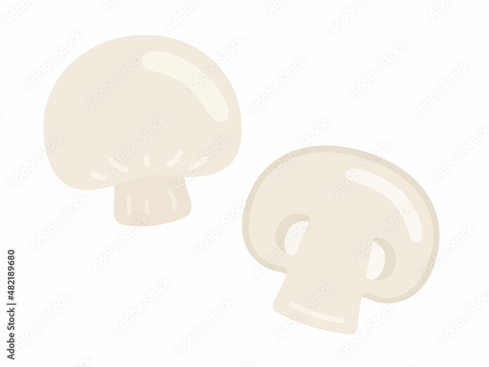 ホワイトマッシュルームのイラスト Stock Vector Adobe Stock