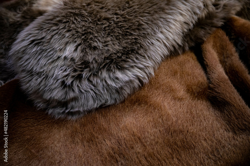 Wallpaper Mural natural animal skins stacked in a pile for sale. cow and sheep skin Torontodigital.ca