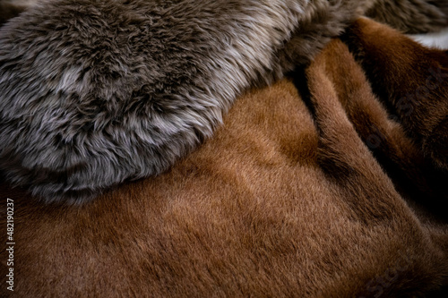 Wallpaper Mural natural animal skins stacked in a pile for sale. cow and sheep skin Torontodigital.ca