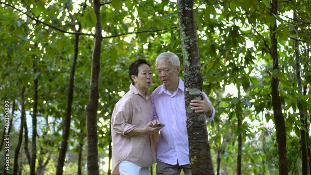 Asian elderly tripping stumbling while walking exercise dangerous physical hurt for senior Asian elderly tripping stumbling while walking exercise dangerous physical hurt for senior