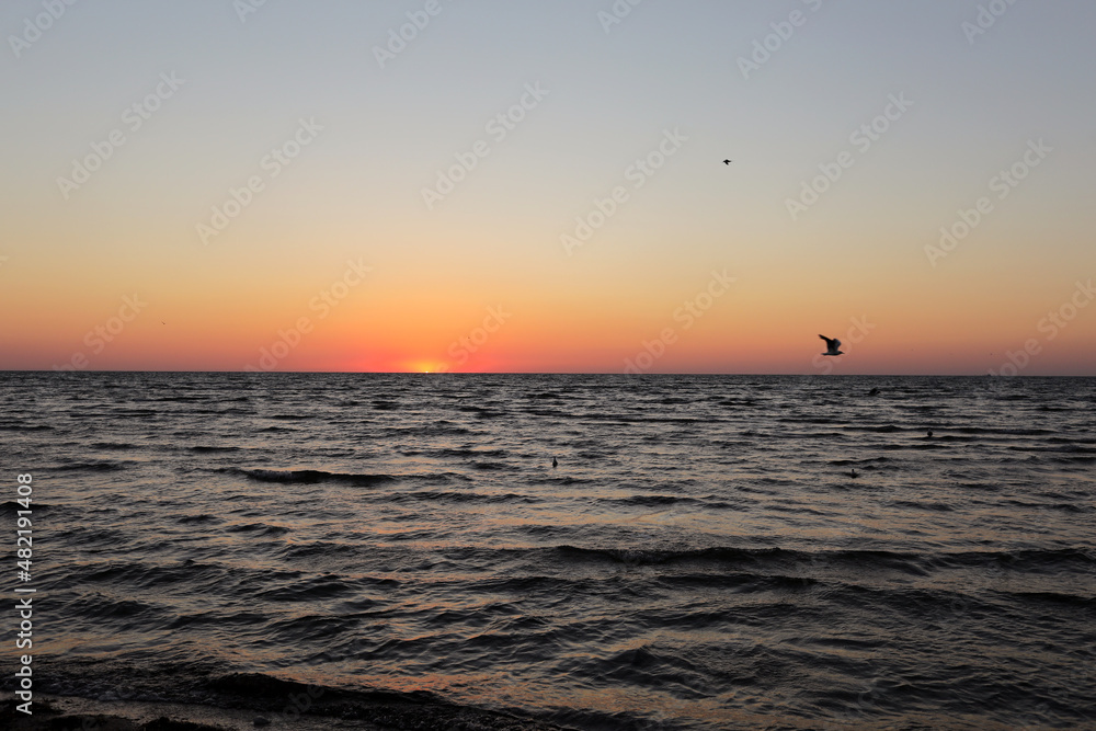 seagulls fly on golden sunset or sunrise at the deep dark ocean. aerial view of sundown and up to the sea. yellow and orange colorful sky. romantic beautiful sky in the spring season