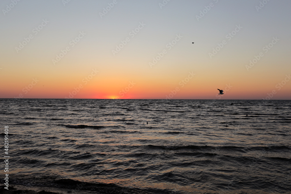 seagulls fly on golden sunset or sunrise at the deep dark ocean. aerial view of sundown and up to the sea. yellow and orange colorful sky. romantic beautiful sky in the spring season seagulls fly on golden sunset or sunrise at the deep dark ocean. aerial view of sundown and up to the sea. yellow and orange colorful sky. romantic beautiful sky in the spring season