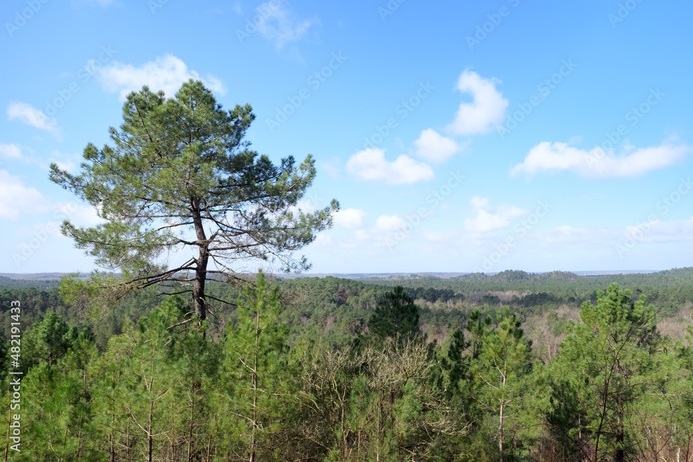 Hills of the Trois pignons forest in the French Gatinais regional nature park