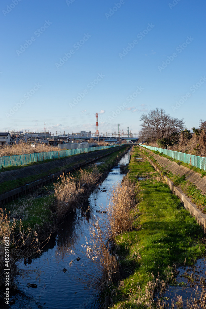 近所の川