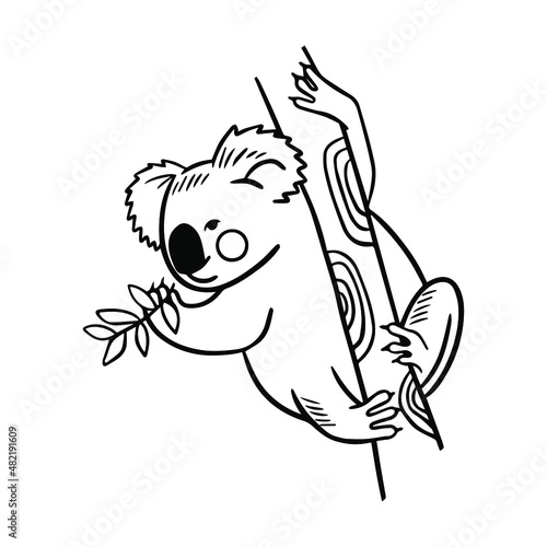 Outline koala illustration in cartoon style on white background. Animal print. Happy kids cartoon collection.