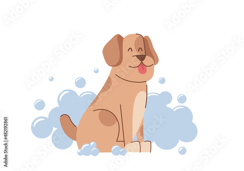 Happy cute brown dog bathing with foam. Grooming salon consept illustration