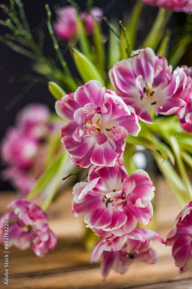 Blumenstrauß mit verblühten Tulpen, Blumen im Frühling