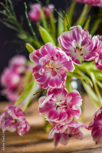 Blumenstrau   mit verbl  hten Tulpen  Blumen im Fr  hling