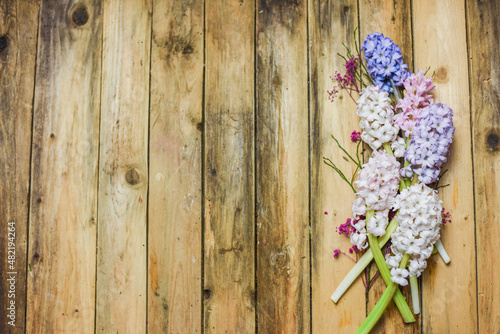 Hyazinthen auf Holz, Frühling Blumen dekorieren