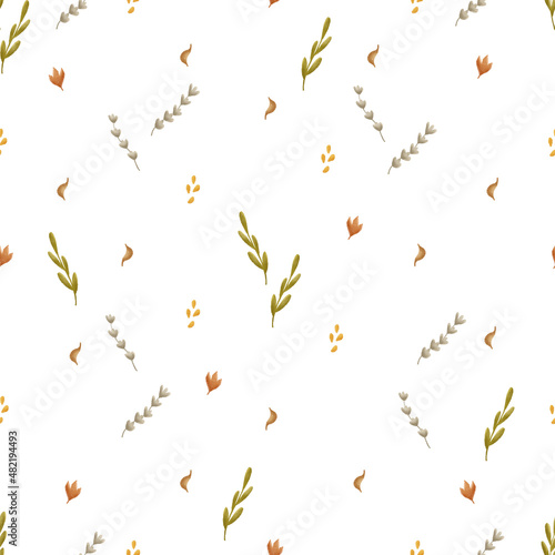 botanical seamless pattern