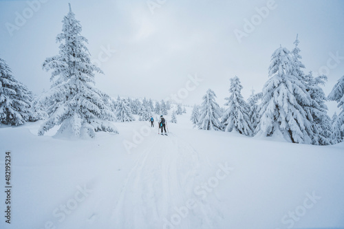 Mountaineer backcountry ski walking ski alpinist in the mountains. Ski touring in alpine landscape with snowy trees. Adventure winter sport. © alexanderuhrin