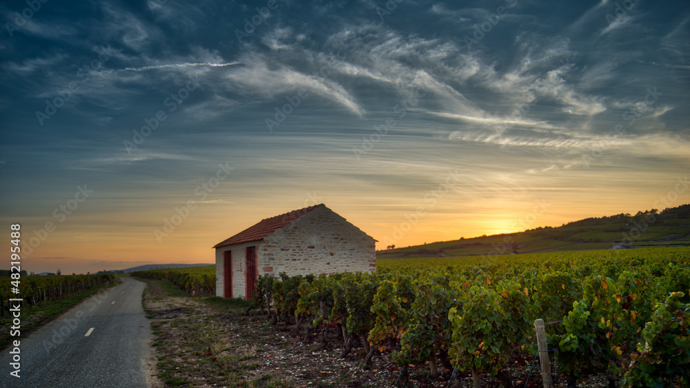 Coucher de soleil aux climat de Bourgogne Coucher de soleil aux climat de Bourgogne