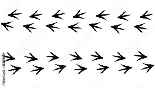 Chicken footprint path in forward and back direction
