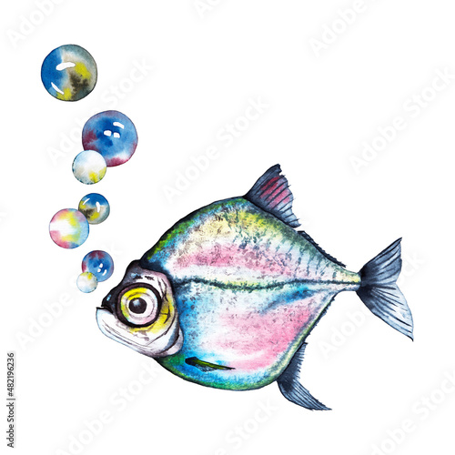 Big flat fish with air baubles . Watercolor hand painted isolated illustration on white background.