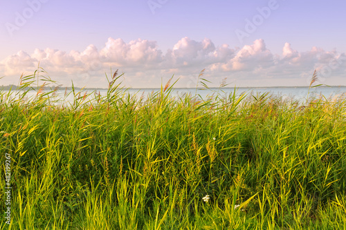 Puck (Poland) shore coast in summer time