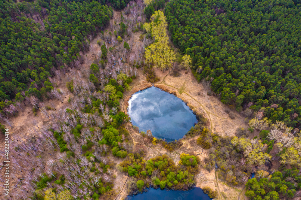 Aerial view of the small pond in the middle of forest. A small dick on shore. Drone footage