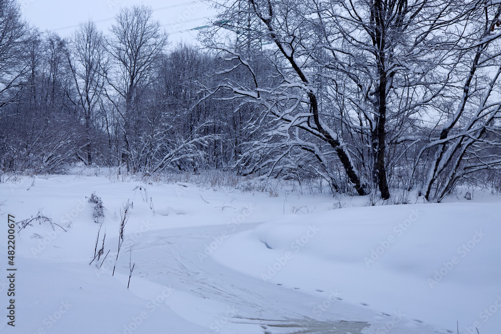 A frozen, ice-covered stream in a winter forest. Footprints on an icy stream. A frozen, ice-covered stream in a winter forest. Footprints on an icy stream.