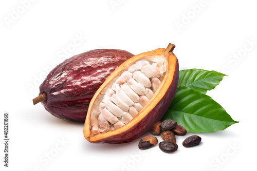 Dark red cocoa pods with half sliced and dried beans isolated on white background. photo