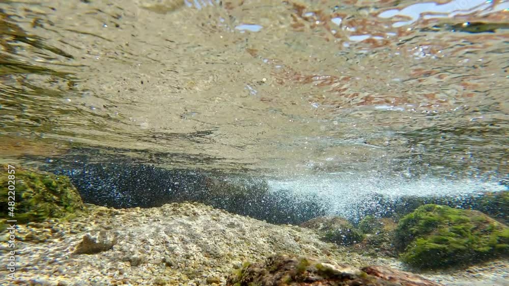 Underwater unique bubbles landscape and algae Underwater unique bubbles landscape and algae