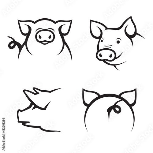 monochrome collection of pigs isolated on white background photo