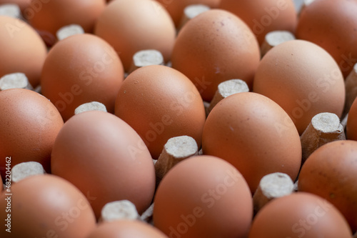 Huevos de gallina vista diagonal frontal