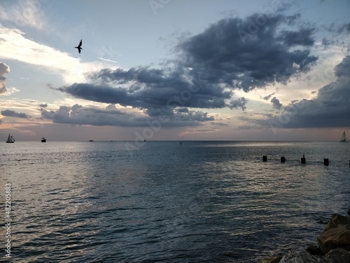 Nature and sights from around Florida