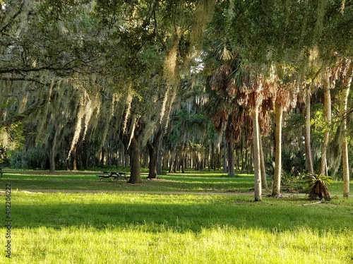 Nature and sights from around Florida