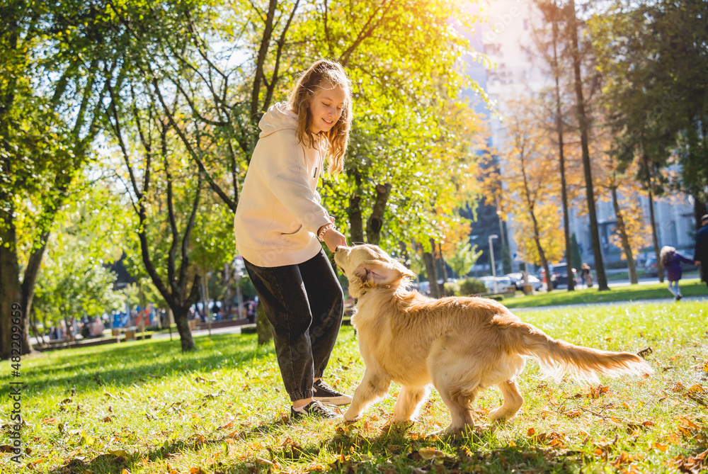 The owner plays the golden retriever dog in the park. The owner plays the golden retriever dog in the park.