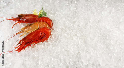 Prawns and Carabinero Shrimps on white Ice Background photo