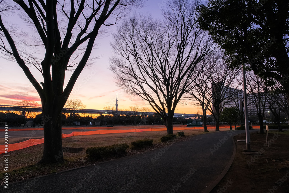 東京都葛飾区 夕暮れの新小岩公園
