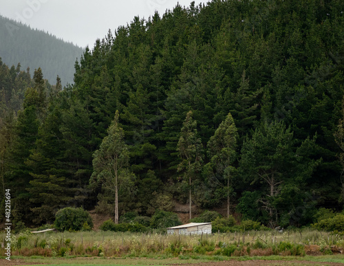 landscape with trees and mountains in Cobquecura, Chile. 
This is Las Nalkas Park in the south of the country.
Here is a typical countryside barn  of the meadows. photo