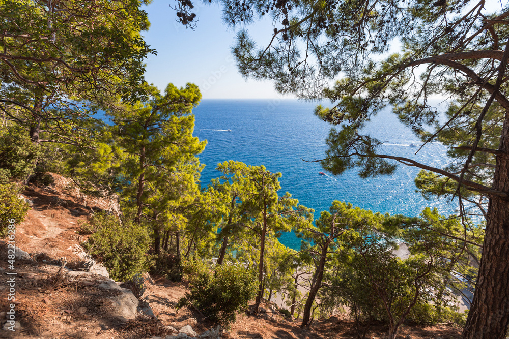 beautiful view through the branches of the blue sea