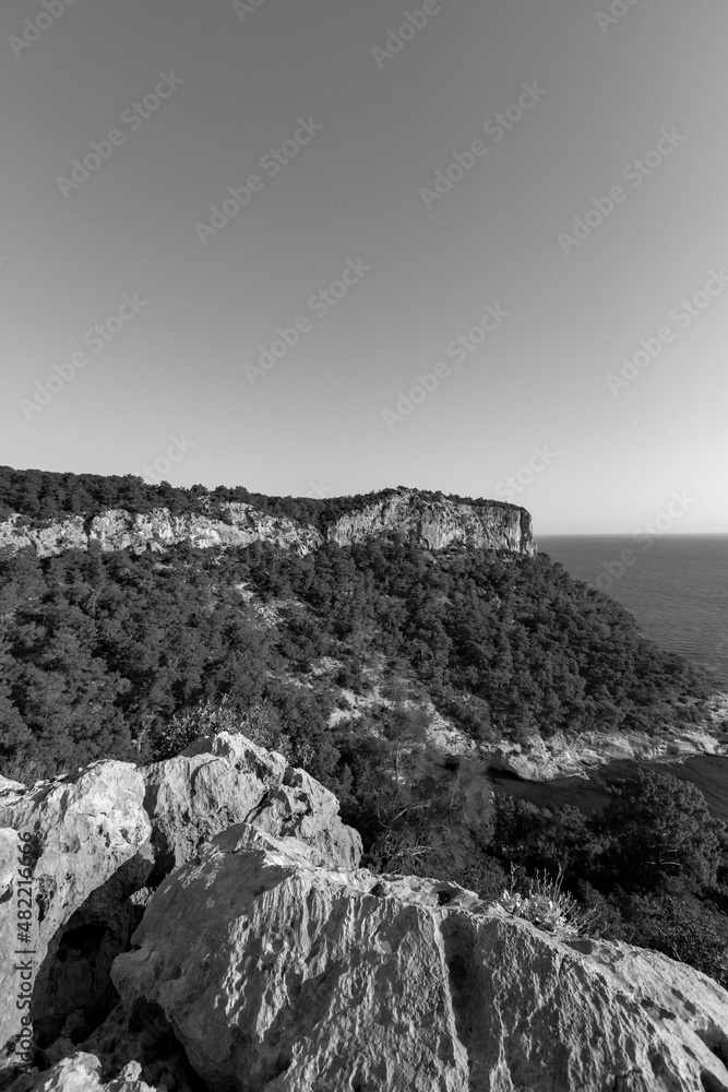 black and white big rock with forest and azure sea in summer