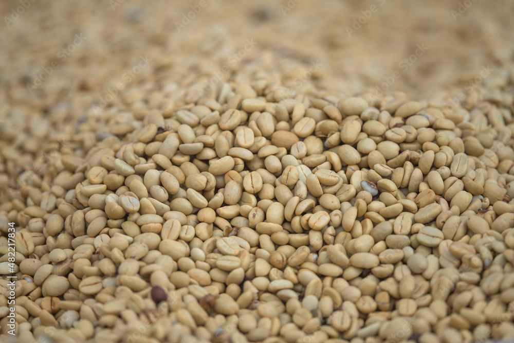 Closeup coffee beans drying in the sun. Closeup coffee beans drying in the sun.