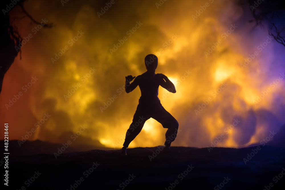 Karate athletes fighting scene on boxing ring with red ropes. Character karate. Posing figure artwork decoration. Sport concept. Decorated foggy background with light. Selective focus