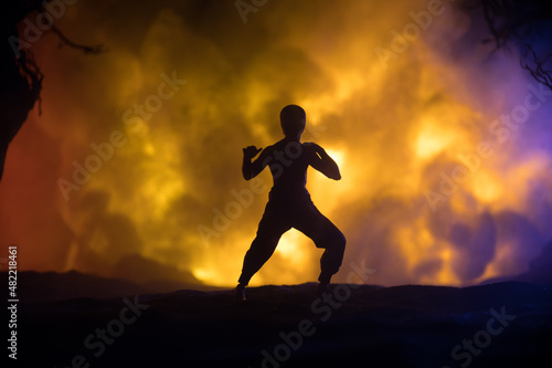 Karate athletes fighting scene on boxing ring with red ropes. Character karate. Posing figure artwork decoration. Sport concept. Decorated foggy background with light. Selective focus