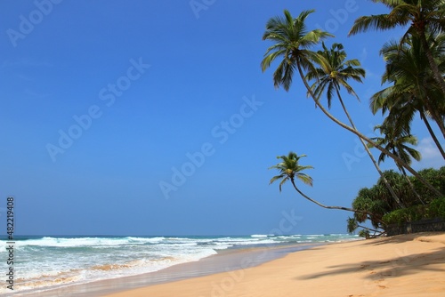 beautiful dream beach - Sri Lanka  Asia