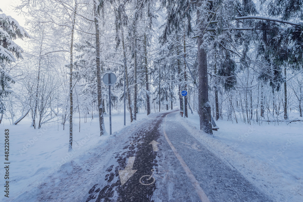 Long road for walking in the winter park.