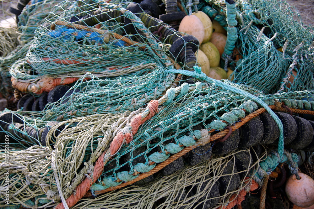 fishing nets catching fish