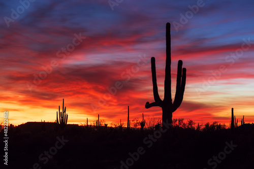 Arizona sunset and Saguaro Cactus in a desert landscape